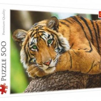 Puzzle Portré tigris 500 db  48 x 34 cm kép