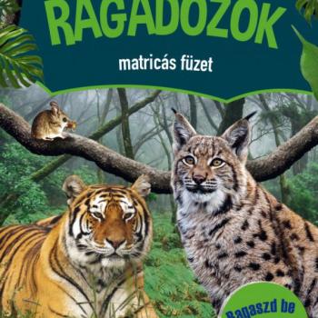 Ragadozók matricás füzet - Ragaszd be a matricákat! kép