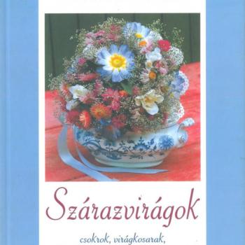 RAKTÁRKISEPRÉS - UTOLSÓ DARABOK -50% KEDVEZMÉNY kép