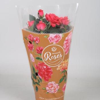 Rosa rózsaszín 10/20 kép