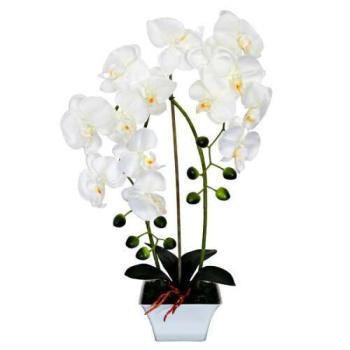 SmileHOME by Pepita Prémium élethű Művirág - Orchidea 60cm (02NOR... kép