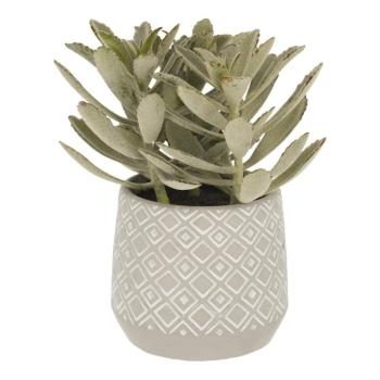 Suculent műnövény (magasság 23 cm) Kalanchoe Tomentosa – Kave Home kép