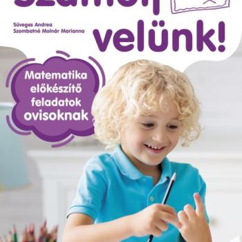 Számolj velünk - matematikai előkészítő feladatok ovisoknak kép