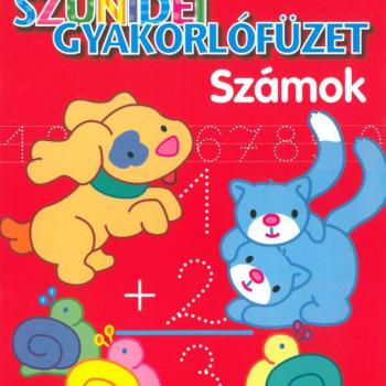 Szünidei gyakorlófüzet - Számok kép