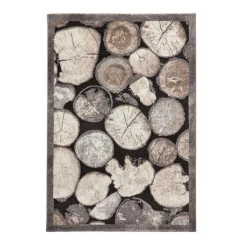 Szürke szőnyeg 120x170 cm Woodland – Think Rugs kép