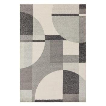 Szürke szőnyeg 160x230 cm Muse – Asiatic Carpets kép