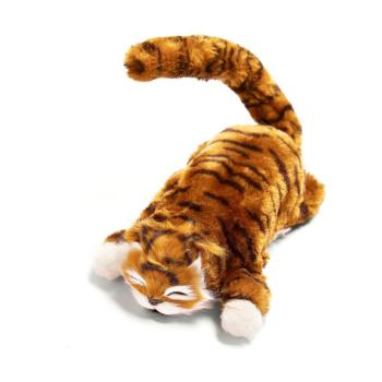Tabby macska kép
