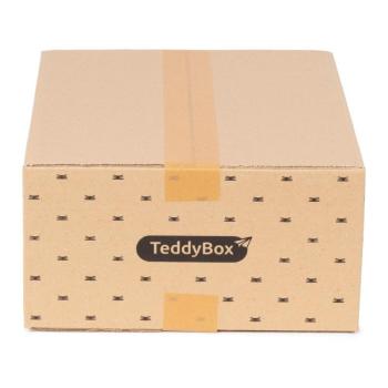 Teddy 3 db-os bézs tárolódoboz szett, 35 x 15 cm - Compactor kép