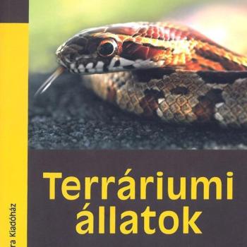 Terráriumi állatok kép