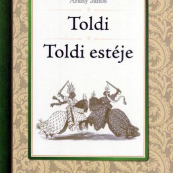 Toldi - Toldi estéje kép