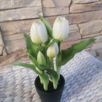 Tulipán Művirág 4 szálas virágcserépben 22cm - fehér kép