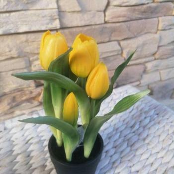 Tulipán Művirág 4 szálas virágcserépben 22cm - sárga kép