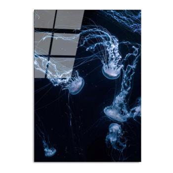 Üveg kép 70x100 cm Jelly Fish – Wallity kép