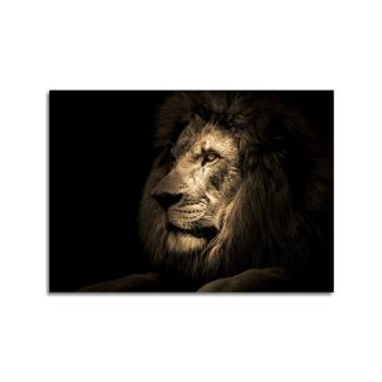 Üveg kép 70x100 cm Lion - Styler kép