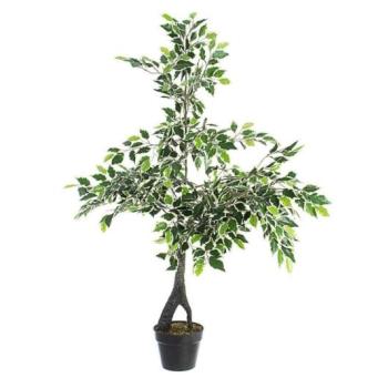 VARIEGATED FICUS zöld műanyag (pe) művirág kép