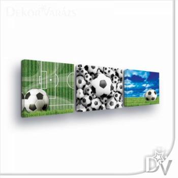 Vászonkép - Foci és Sport (10545CV) / 75 x 25 cm kép