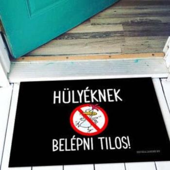 Vicces lábtörlő Hülyéknek belépni tilos LA034 kép