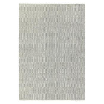 Világosszürke gyapjú szőnyeg 100x150 cm Sloan – Asiatic Carpets kép