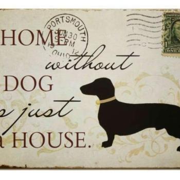 Vintage Dekor Fémtábla, dombornyomott &#039;Home without a dog is just... kép