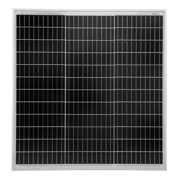 Yangtze Solar Fotovoltaikus napelem 100W monokristályos 77cm kép