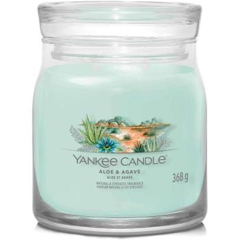 Yankee Candle Signature Aloe &amp; Agave Illatgyertya 368g kép