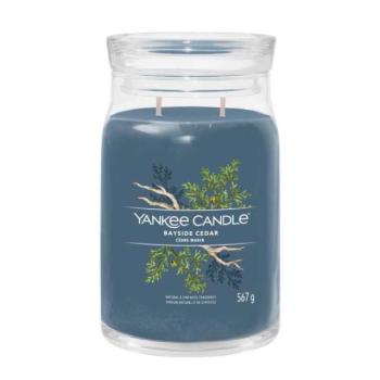 Yankee Candle Signature Bayside Cedar Illatgyertya 567g kép