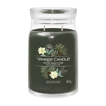 Yankee Candle Signature Silver Sage &amp; Pine Illatgyertya 567g kép