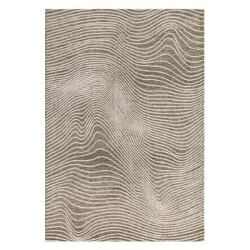 Zöld-krémszínű szőnyeg 160x230 cm Mason – Asiatic Carpets kép