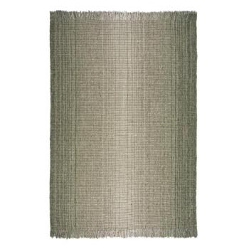 Zöld szőnyeg 200x290 cm – Flair Rugs kép